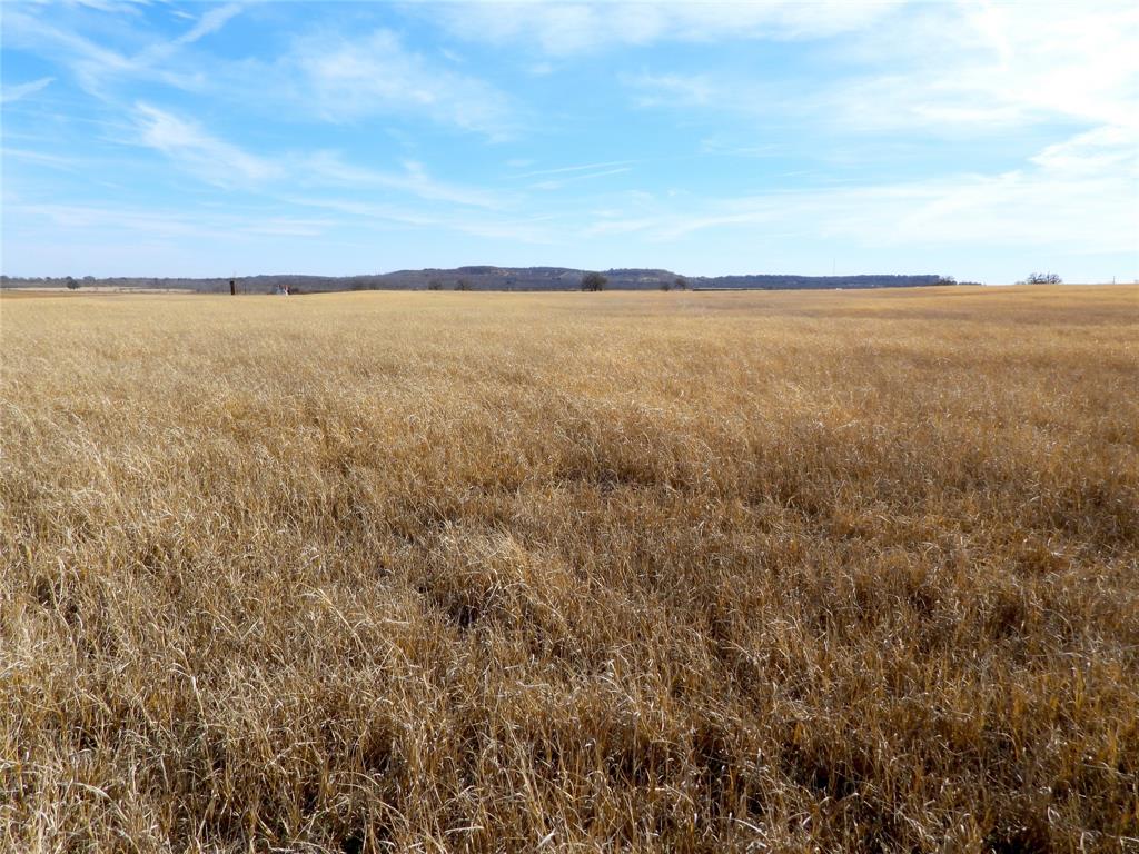 0 County Road 438 Rising Star, TX 76471 - Photo 17 of 33