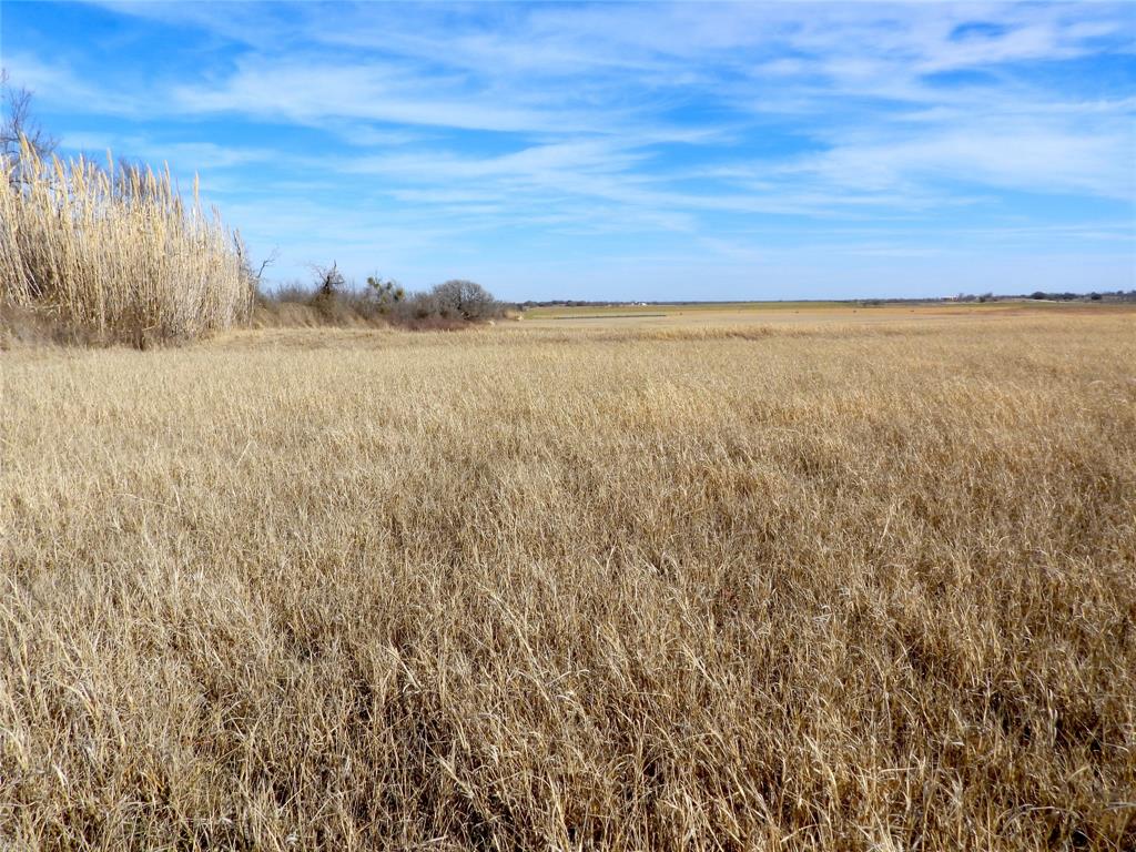 0 County Road 438 Rising Star, TX 76471 - Photo 18 of 33 The presence of cattails would suggest a potential spring, stock tank, or drainage area on the property that remains wet year-round.