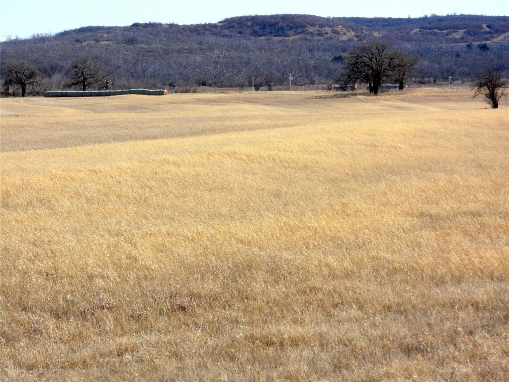 0 County Road 438 Rising Star, TX 76471 - Photo 19 of 33