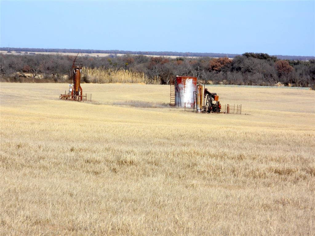0 County Road 438 Rising Star, TX 76471 - Photo 22 of 33