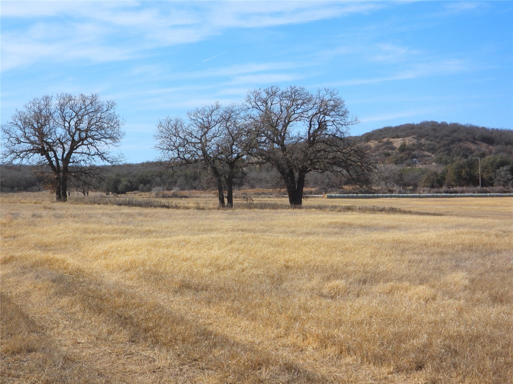 0 County Road 438 Rising Star, TX 76471 - Photo 24 of 33