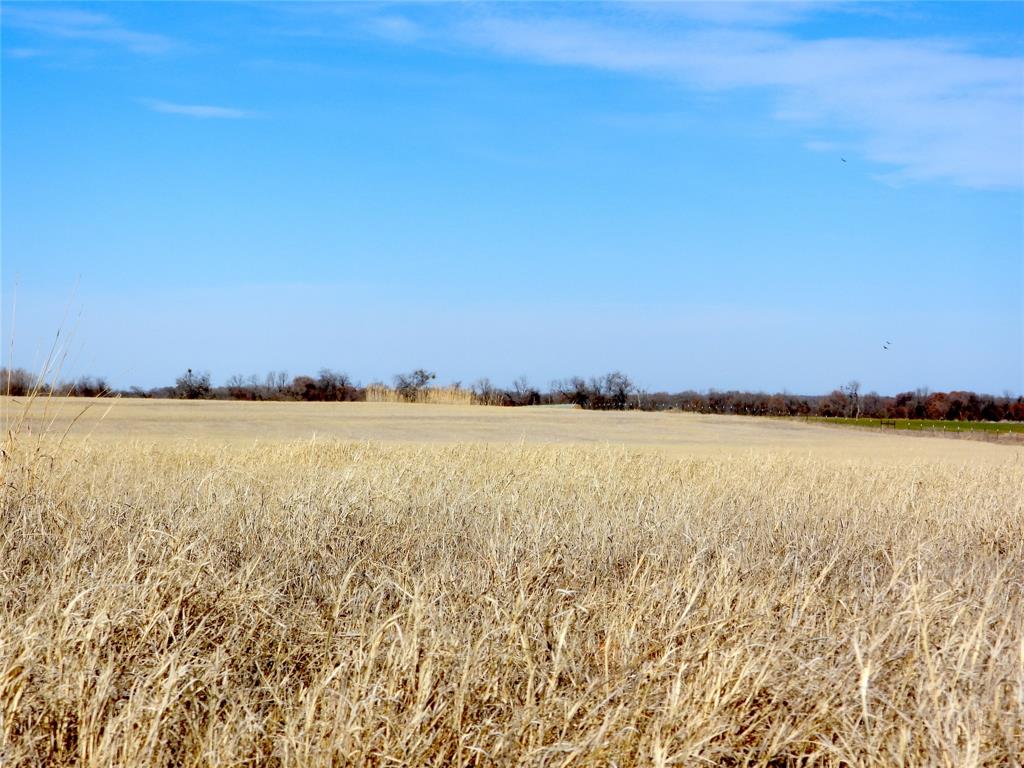 0 County Road 438 Rising Star, TX 76471 - Photo 25 of 33