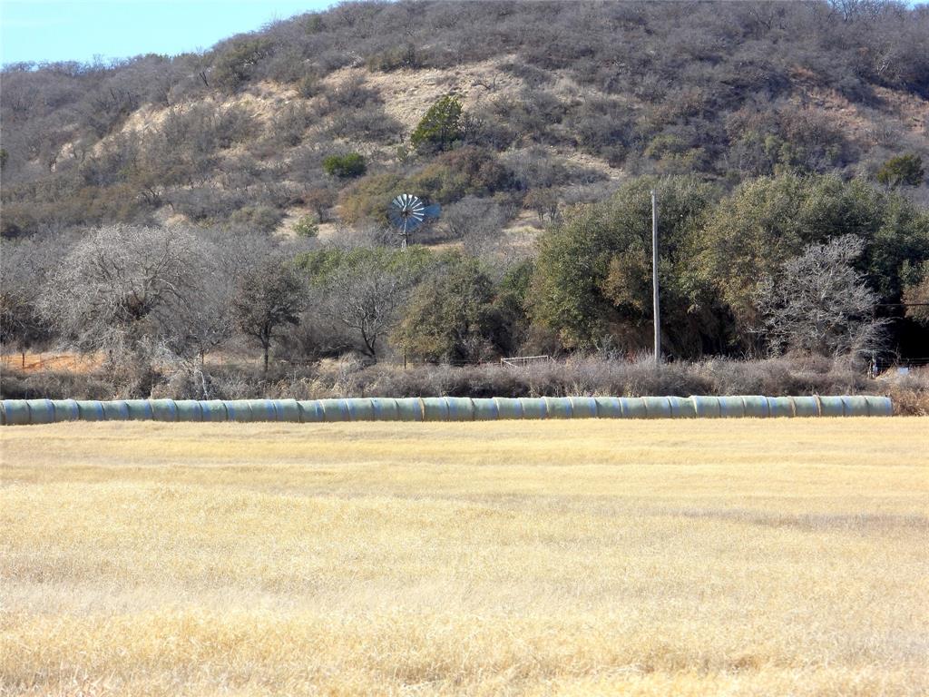 0 County Road 438 Rising Star, TX 76471 - Photo 26 of 33