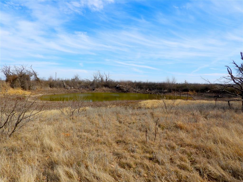 0 County Road 438 Rising Star, TX 76471 - Photo 29 of 33