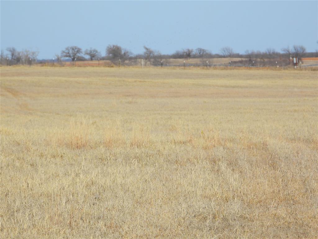 0 County Road 438 Rising Star, TX 76471 - Photo 4 of 33