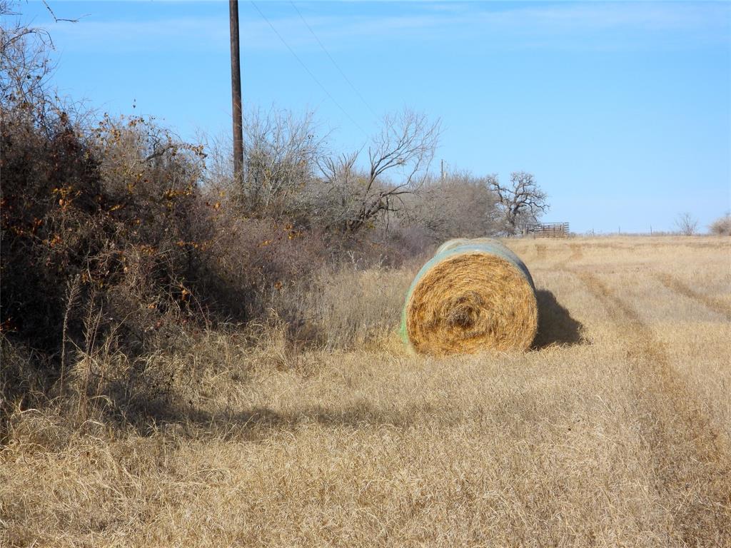 0 County Road 438 Rising Star, TX 76471 - Photo 5 of 33