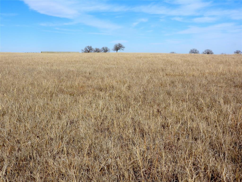 0 County Road 438 Rising Star, TX 76471 - Photo 7 of 33