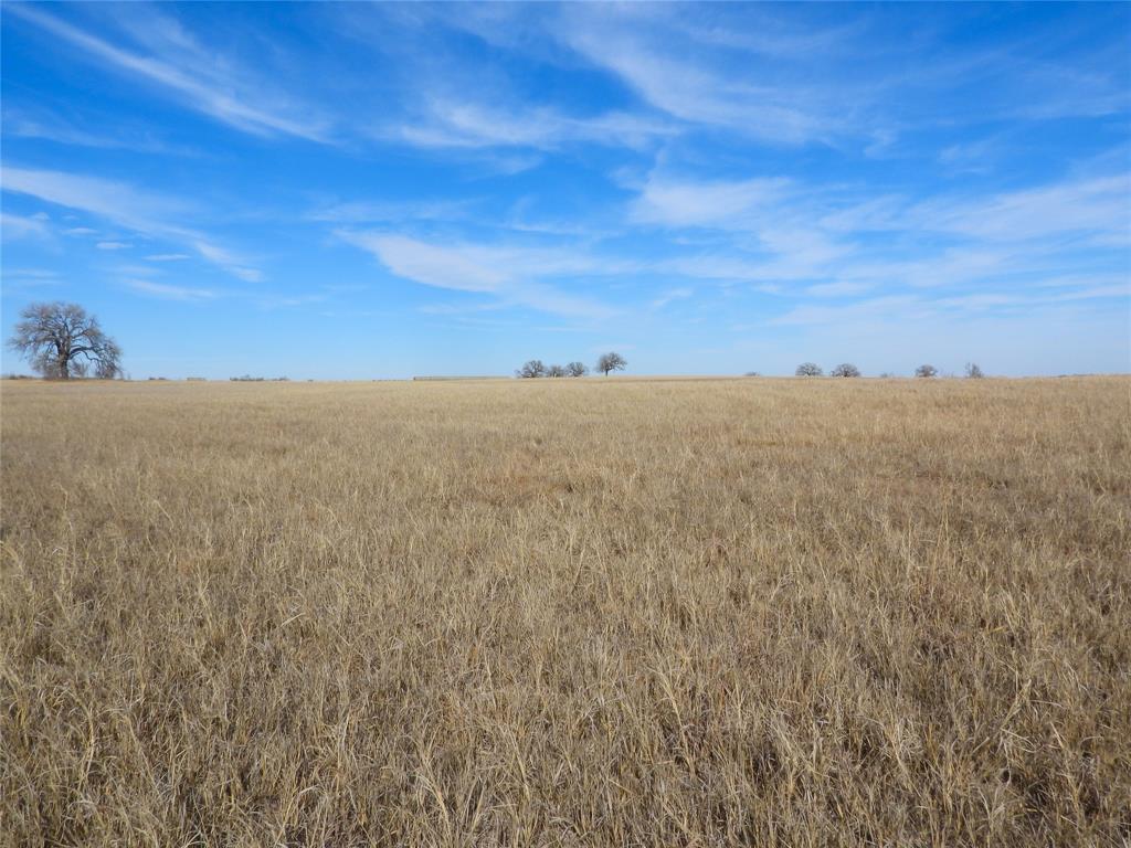 0 County Road 438 Rising Star, TX 76471 - Photo 9 of 33