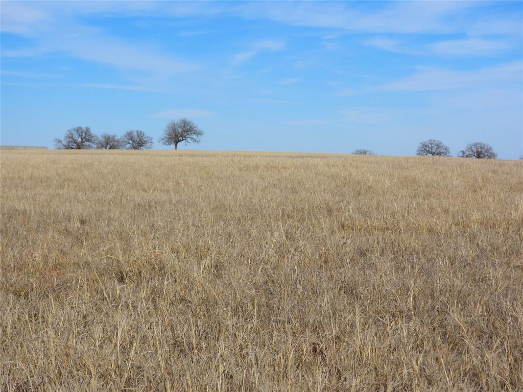 0 County Road 438 Rising Star, TX 76471 - Photo 10 of 33