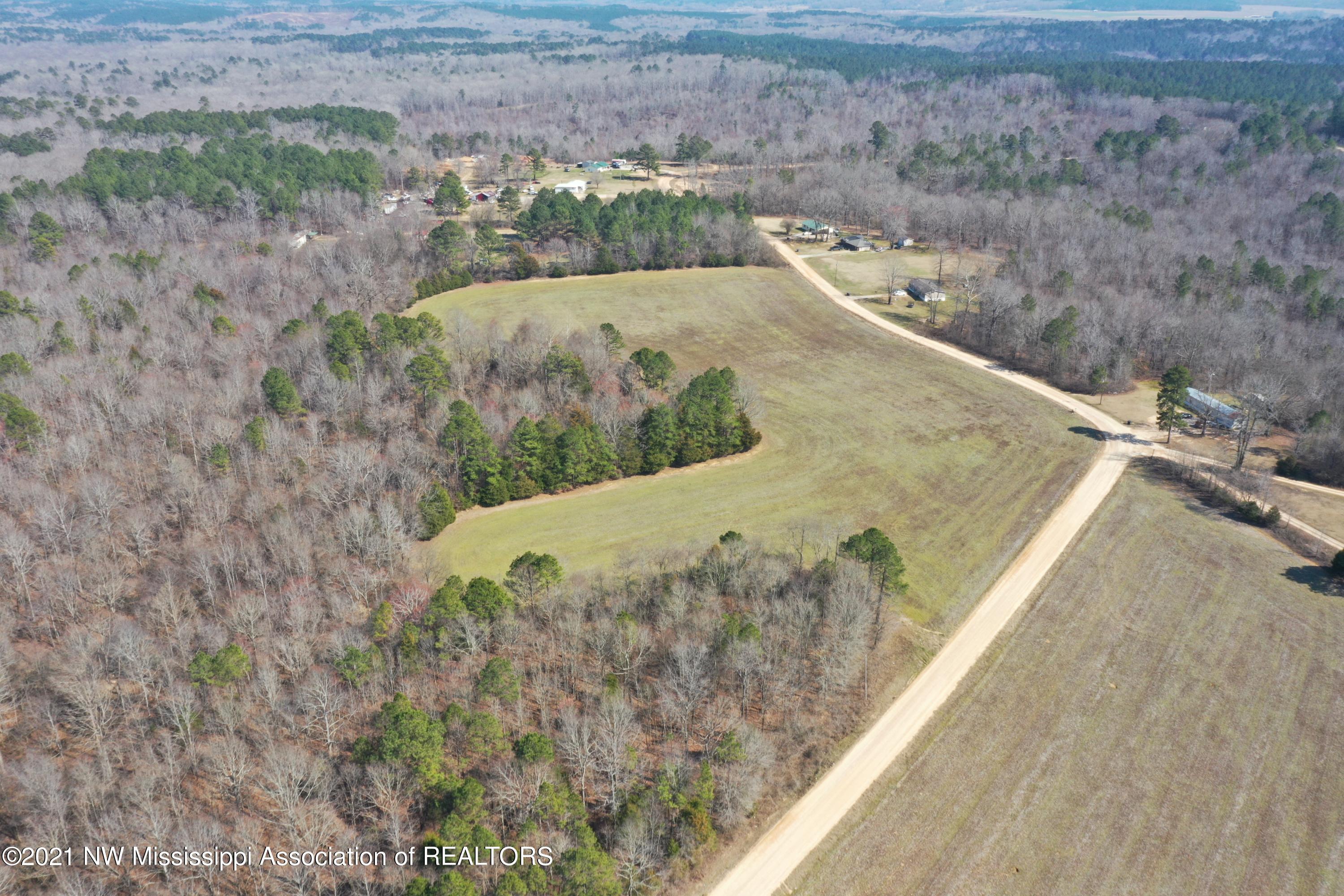 240 Om Cox Road Potts Camp, MS 38659 - Photo 11 of 35 DJI_0217