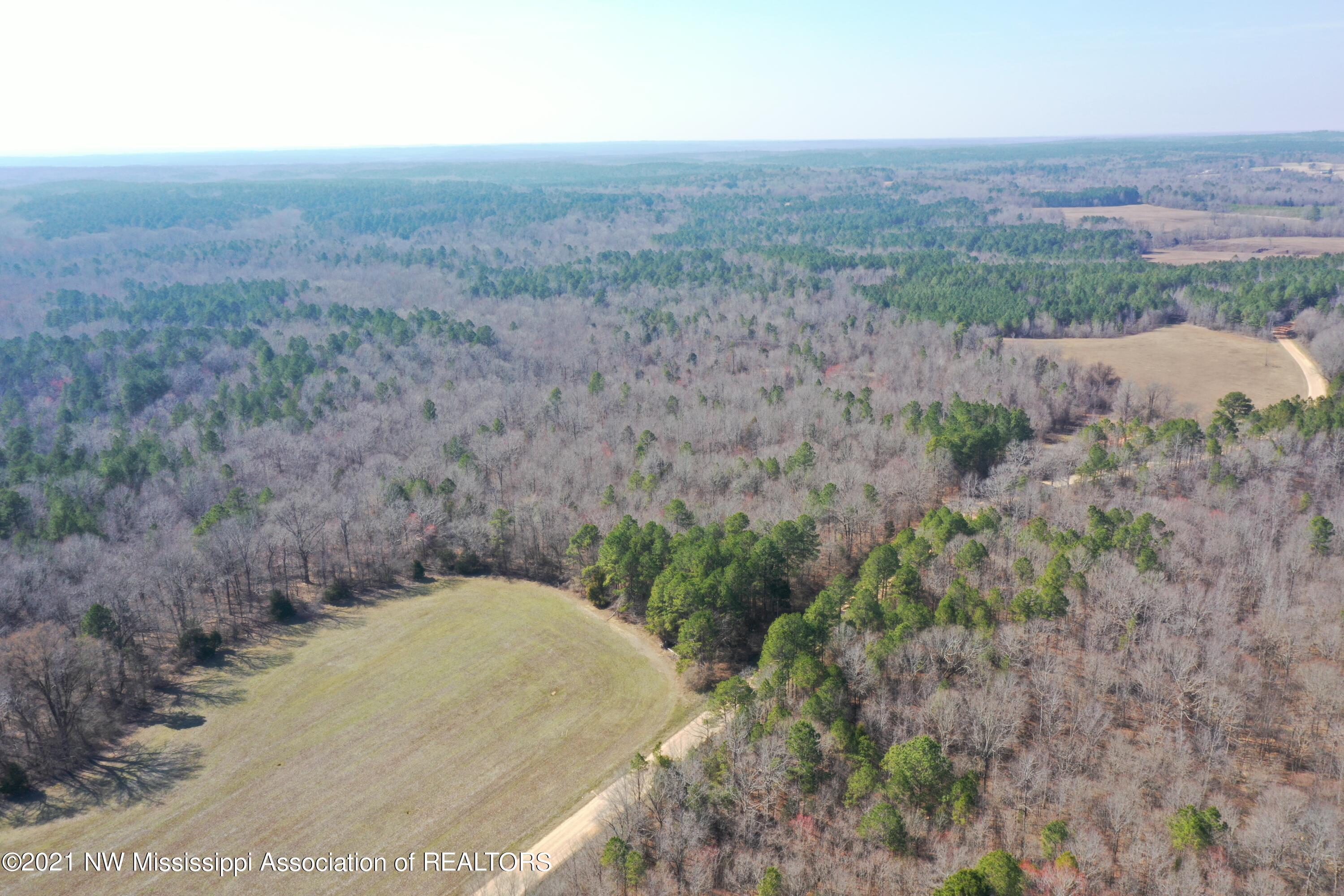 240 Om Cox Road Potts Camp, MS 38659 - Photo 12 of 35 DJI_0220