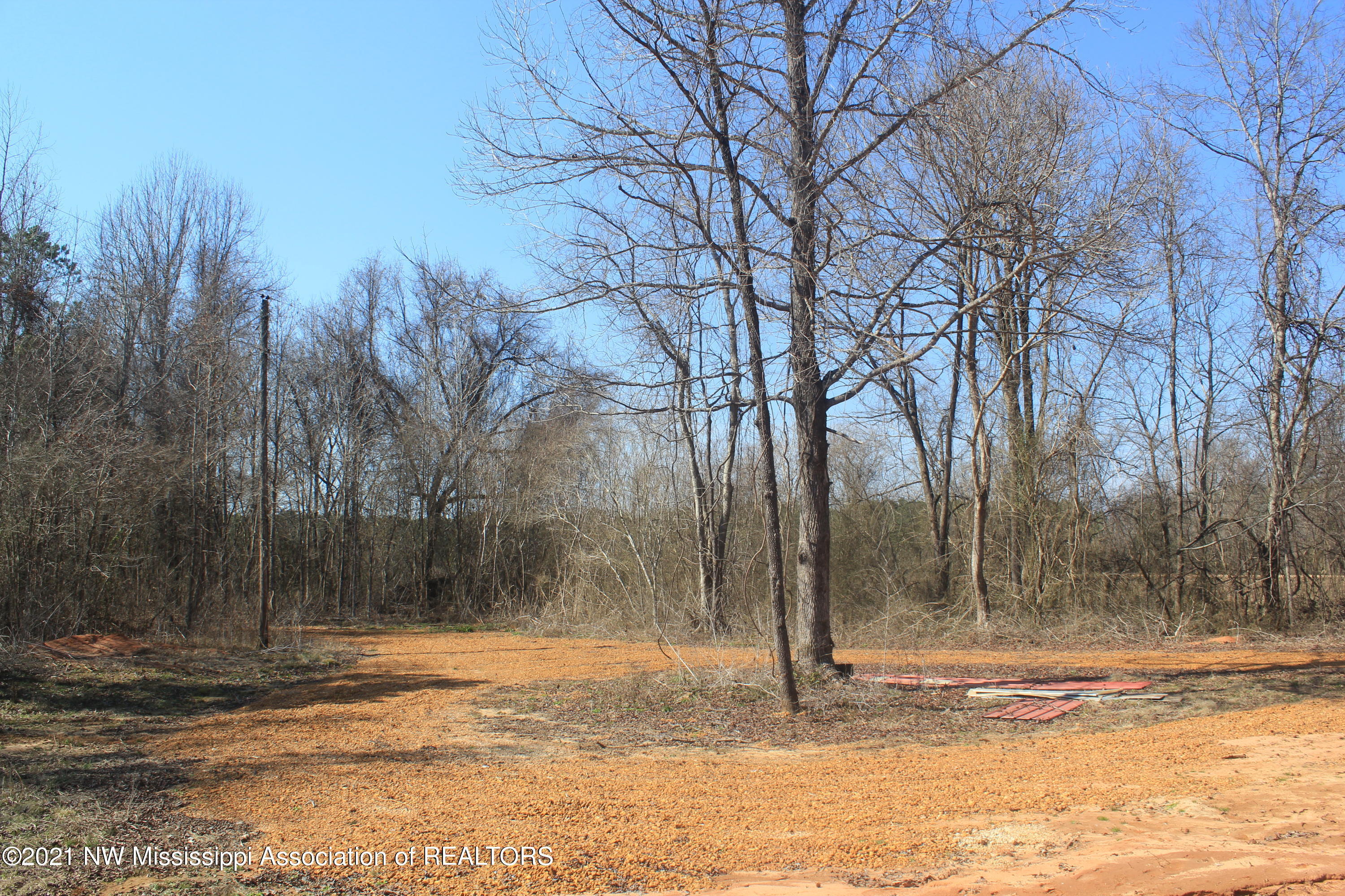 240 Om Cox Road Potts Camp, MS 38659 - Photo 18 of 35 IMG_5762