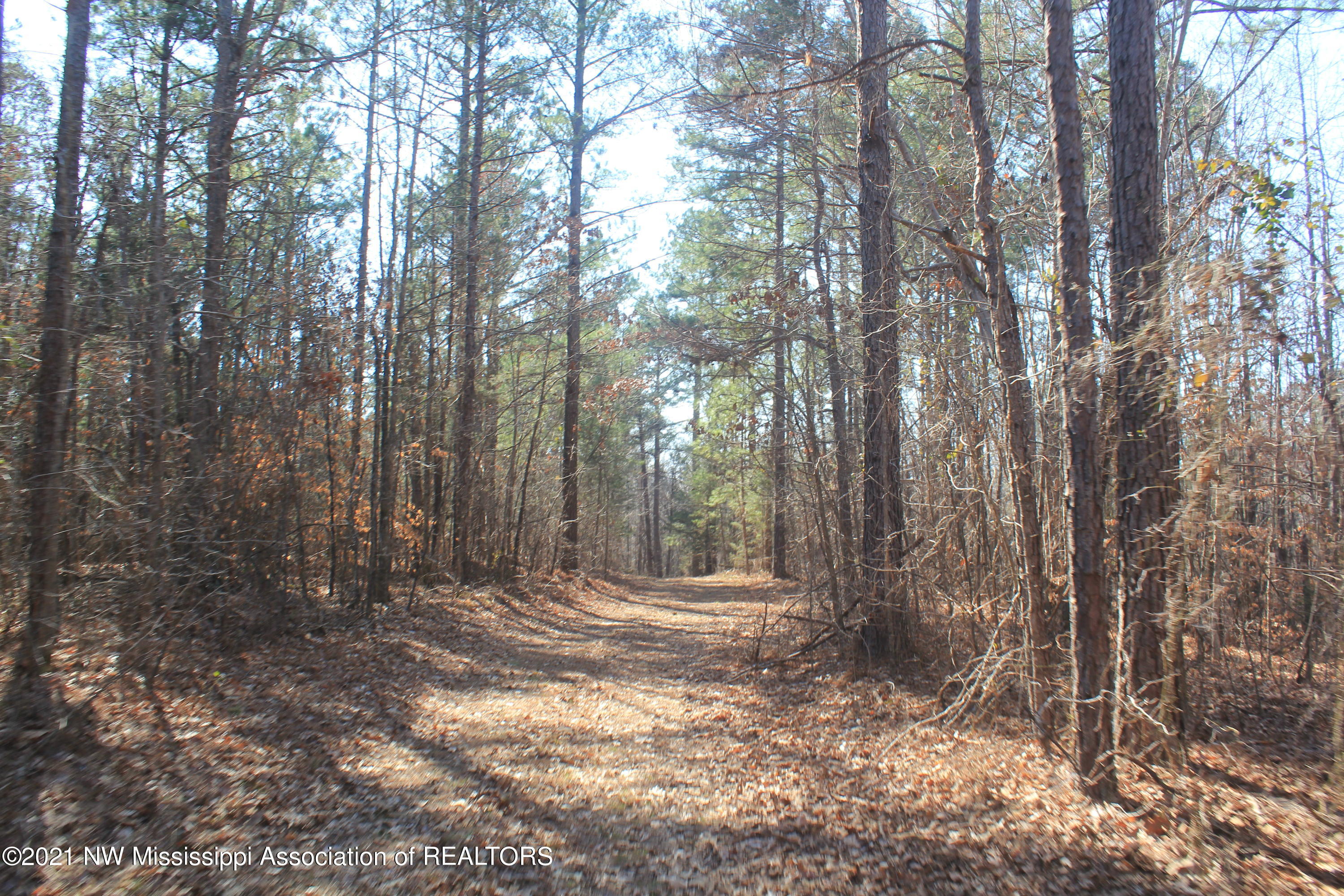 240 Om Cox Road Potts Camp, MS 38659 - Photo 20 of 35 IMG_5772