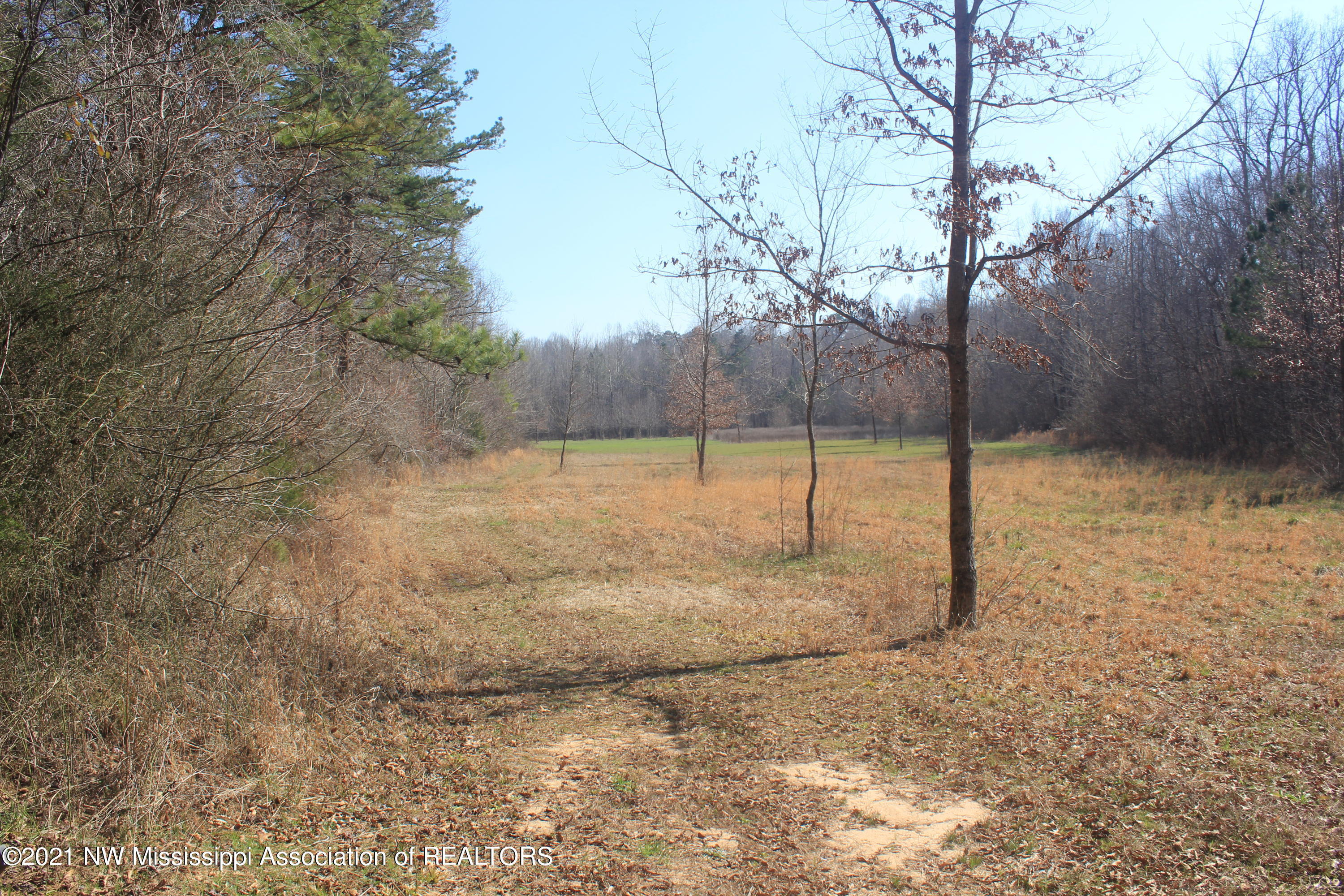 240 Om Cox Road Potts Camp, MS 38659 - Photo 23 of 35 IMG_5779