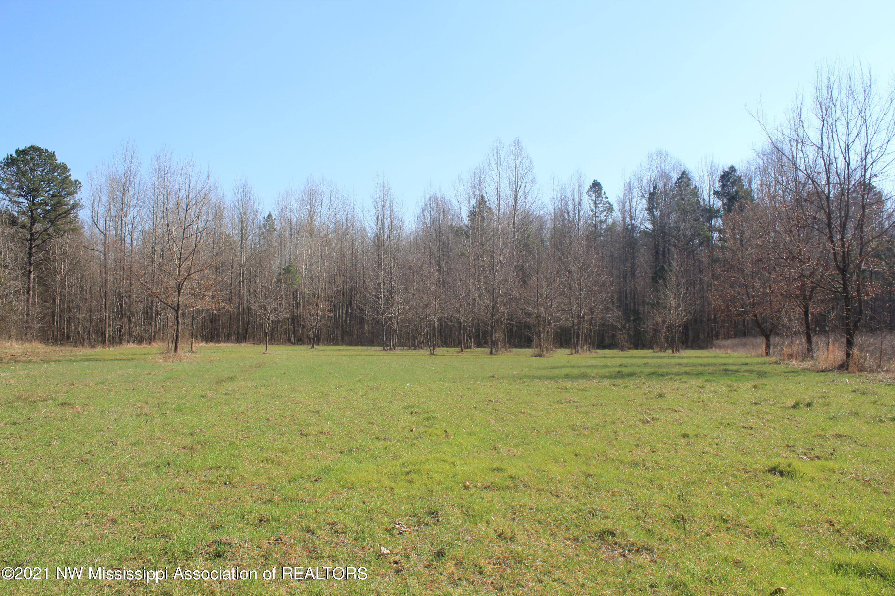 240 Om Cox Road Potts Camp, MS 38659 - Photo 25 of 35 IMG_5787