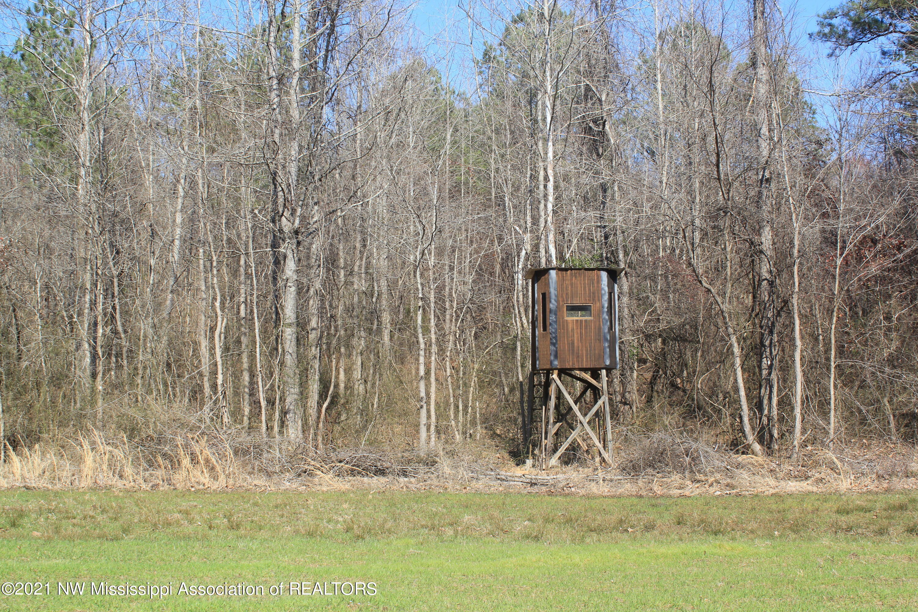 240 Om Cox Road Potts Camp, MS 38659 - Photo 26 of 35 IMG_5788