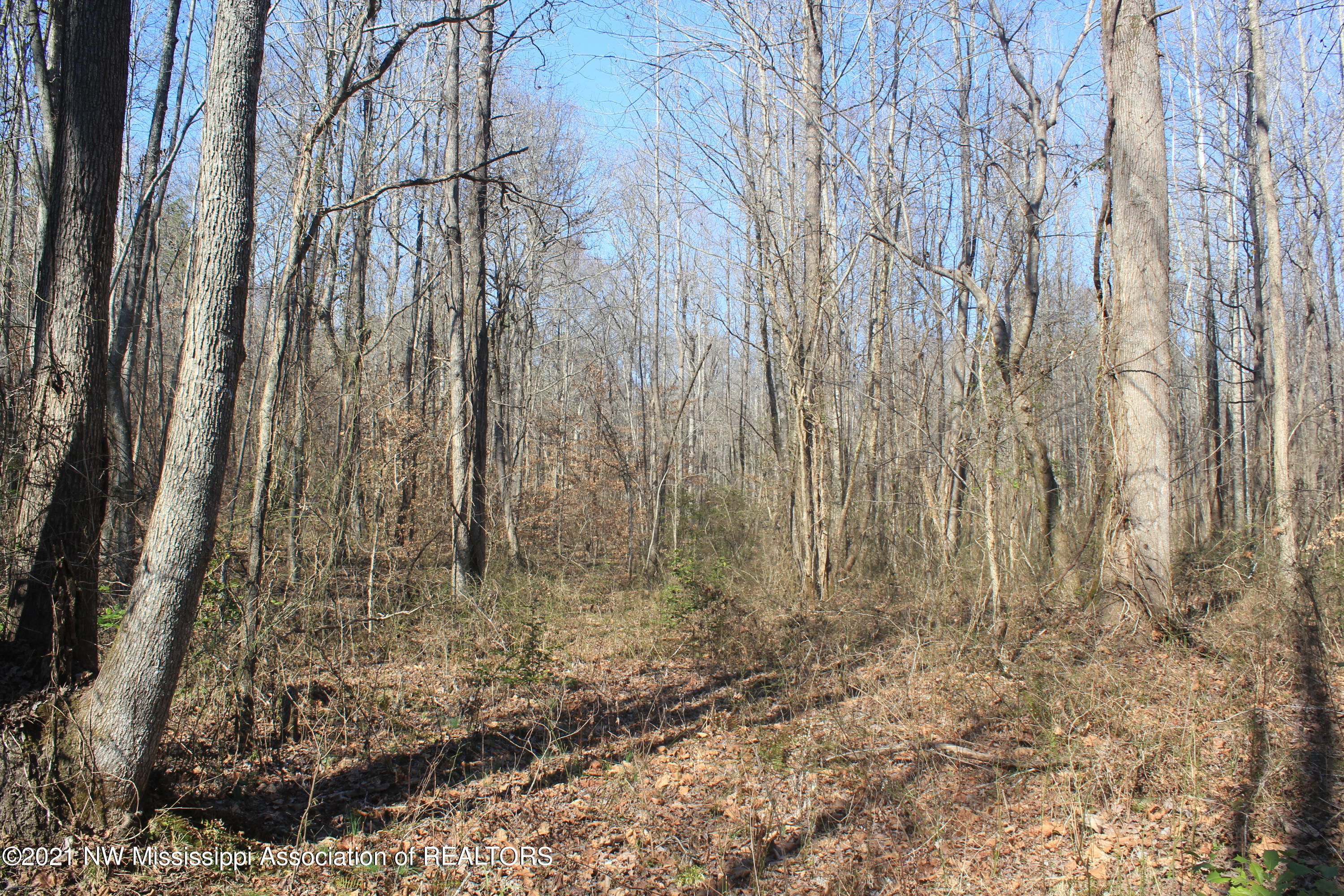 240 Om Cox Road Potts Camp, MS 38659 - Photo 27 of 35 IMG_5797