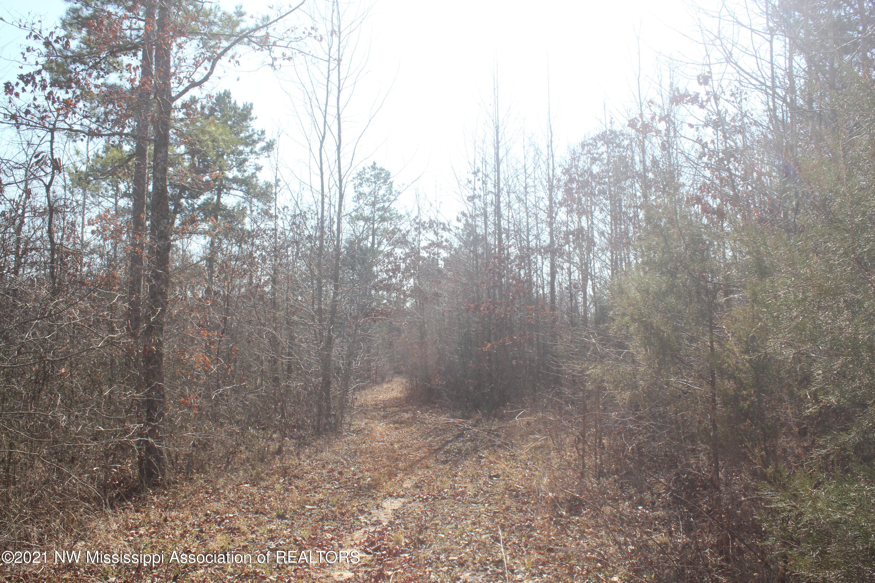 240 Om Cox Road Potts Camp, MS 38659 - Photo 31 of 35 IMG_5803