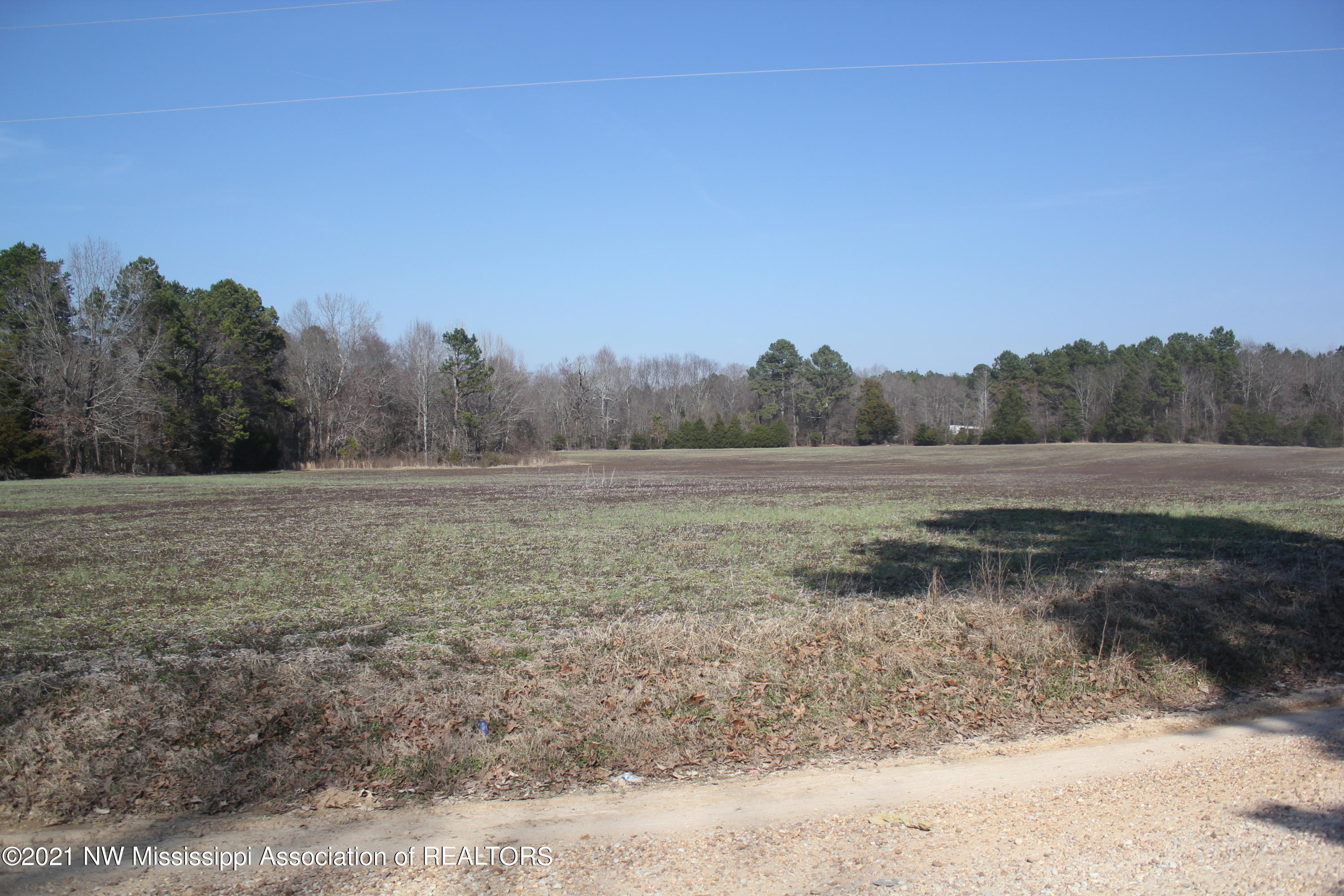 240 Om Cox Road Potts Camp, MS 38659 - Photo 32 of 35 IMG_5804