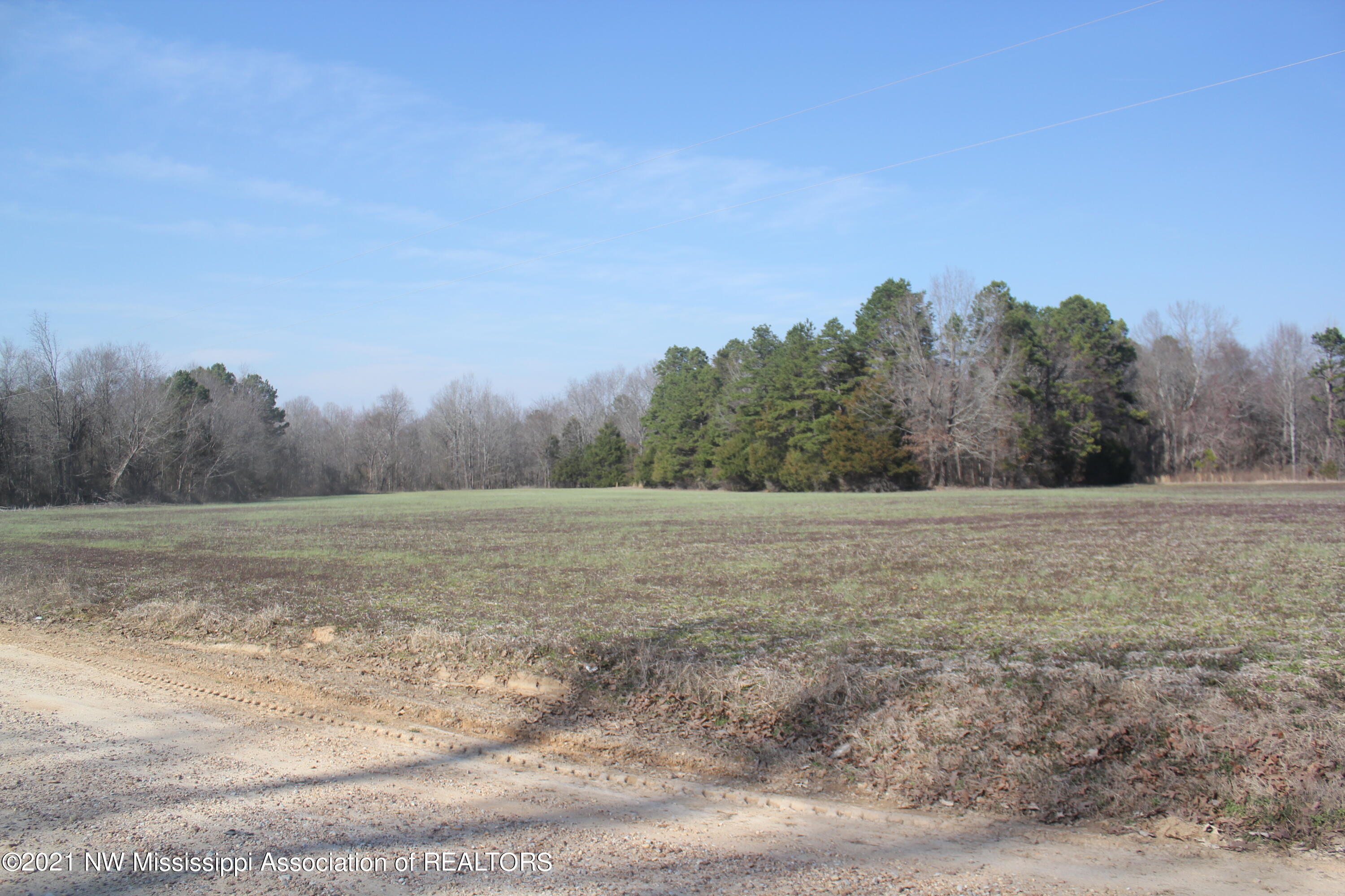 240 Om Cox Road Potts Camp, MS 38659 - Photo 33 of 35 IMG_5805