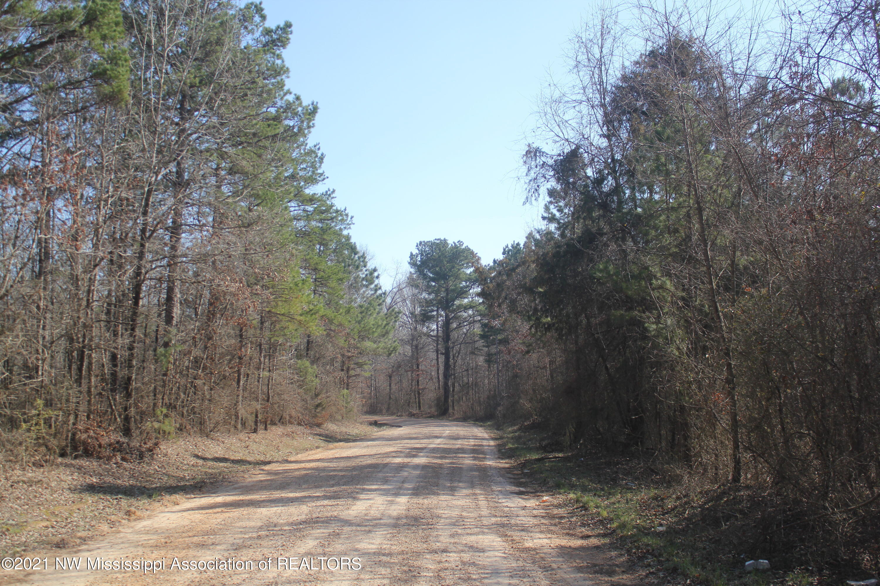 240 Om Cox Road Potts Camp, MS 38659 - Photo 35 of 35 IMG_5810