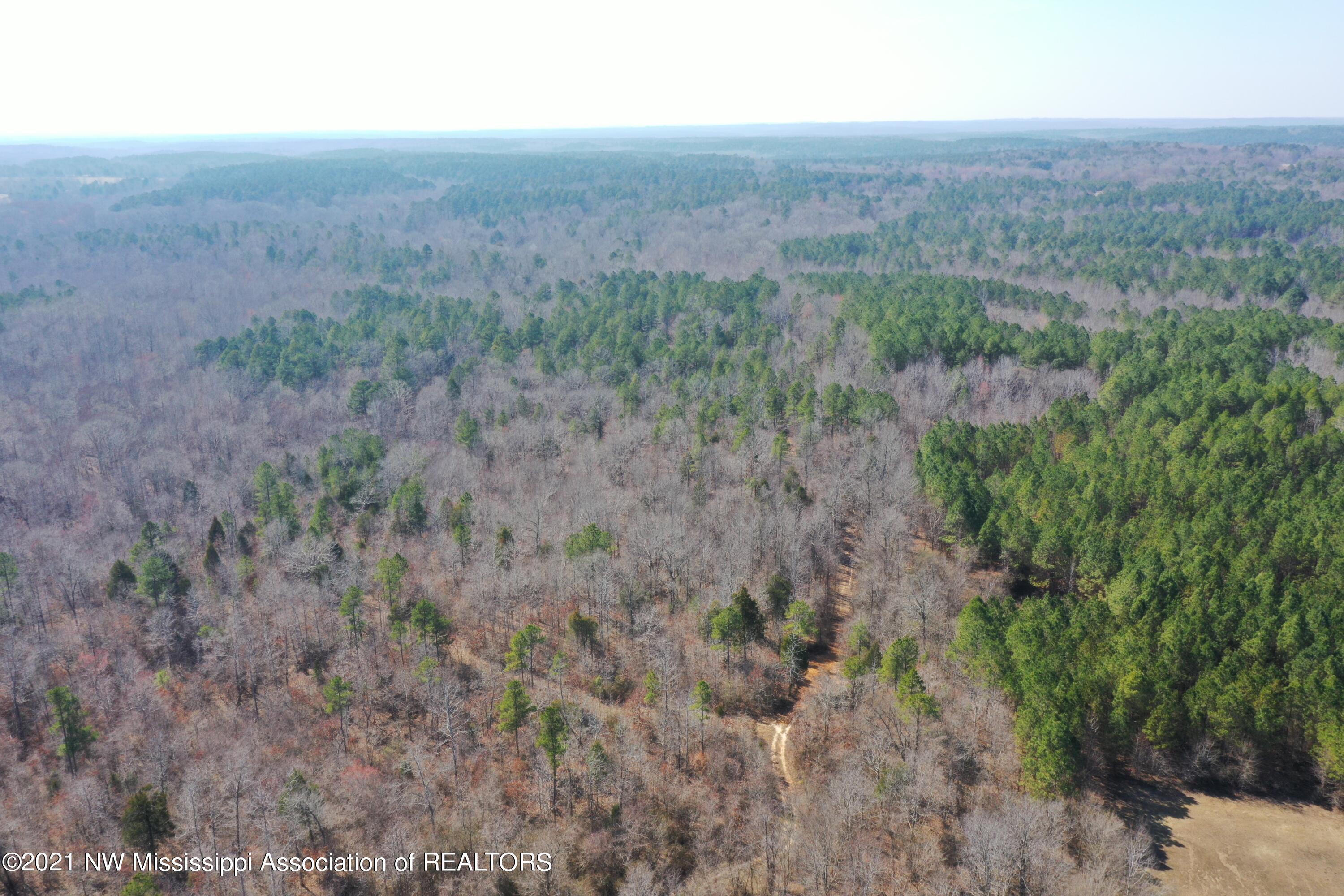DJI_0206