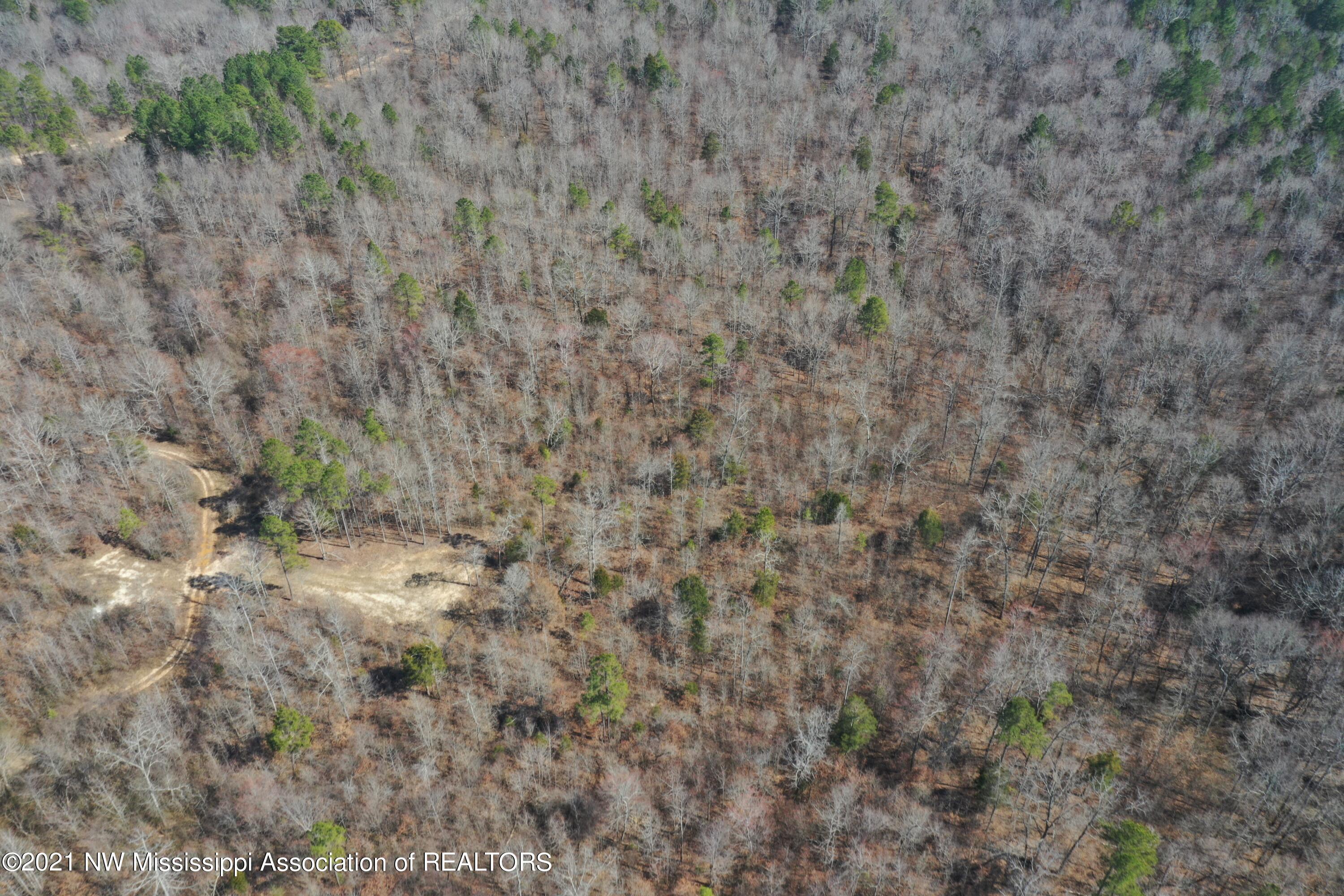 240 Om Cox Road Potts Camp, MS 38659 - Photo 8 of 35 DJI_0214