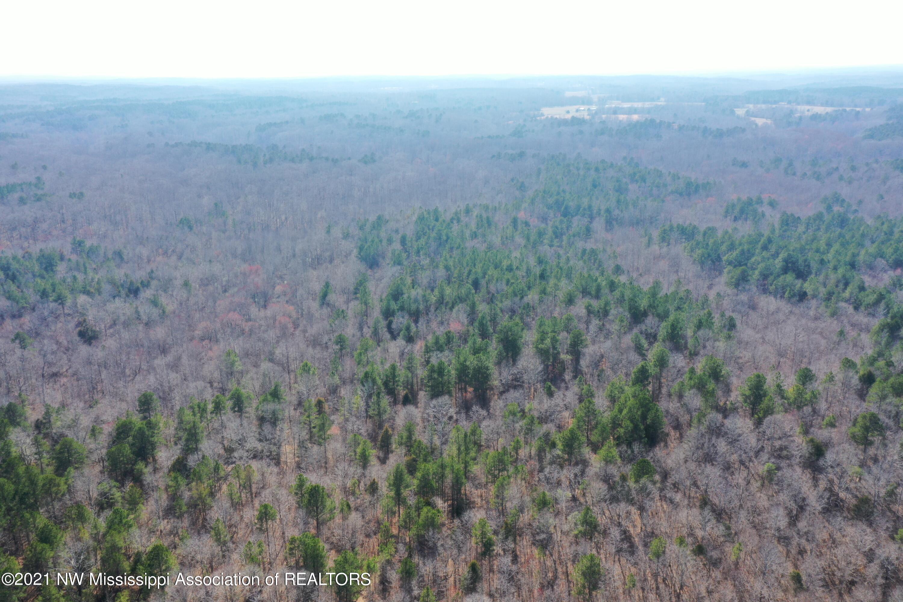 240 Om Cox Road Potts Camp, MS 38659 - Photo 9 of 35 DJI_0216