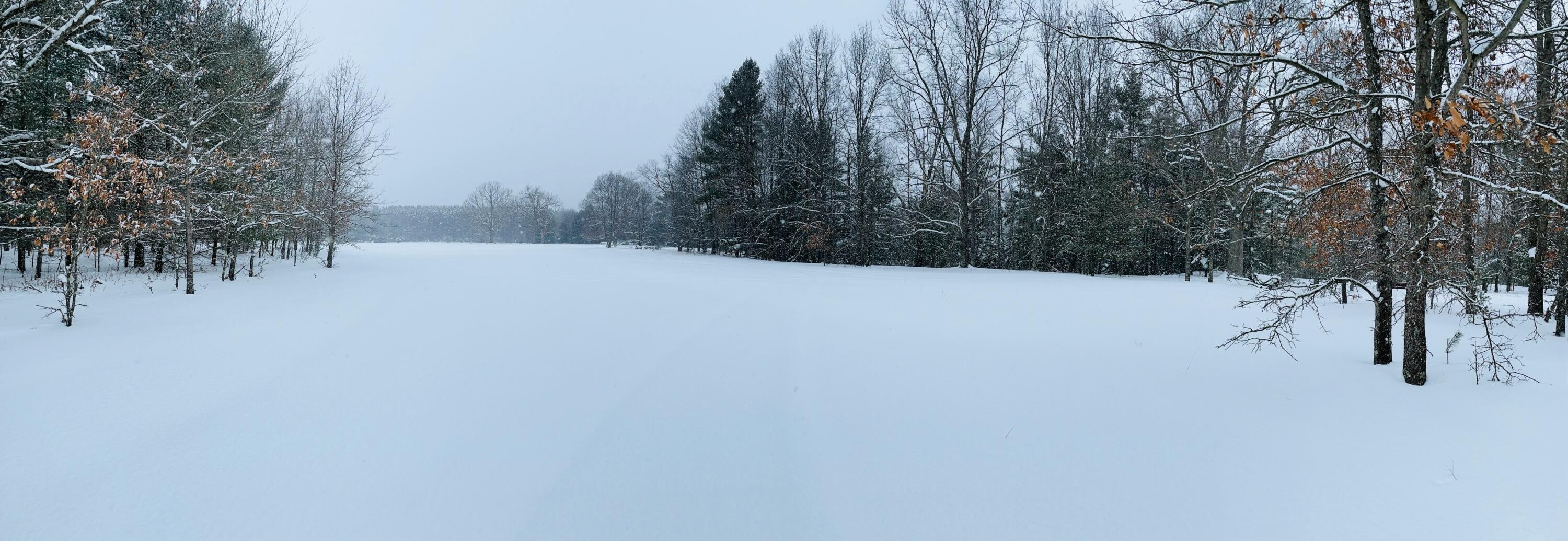 10652 North River Road, Unit D Irons, MI 49644 - Photo 17 of 31 IMG_2936.heic