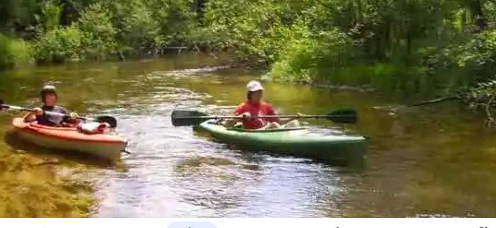 10652 North River Road, Unit D Irons, MI 49644 - Photo 20 of 31 1000031645