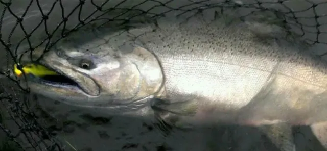 $189,000 | 10652 North River Road, Unit D, Irons, MI 49644