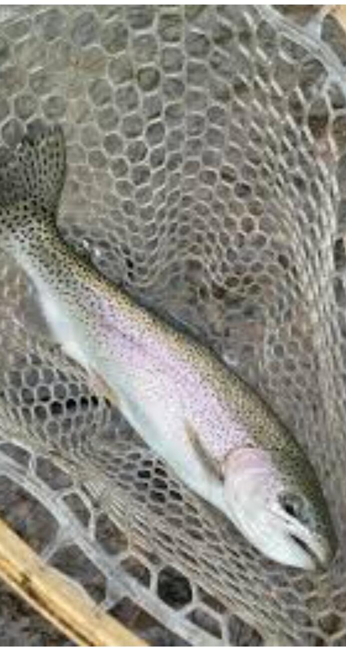 10652 North River Road, Unit D Irons, MI 49644 - Photo 28 of 31 1000031651