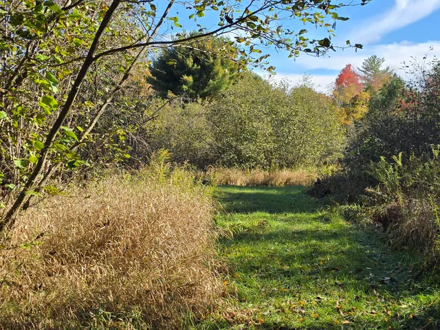 $189,000 | 10652 North River Road, Unit D, Irons, MI 49644