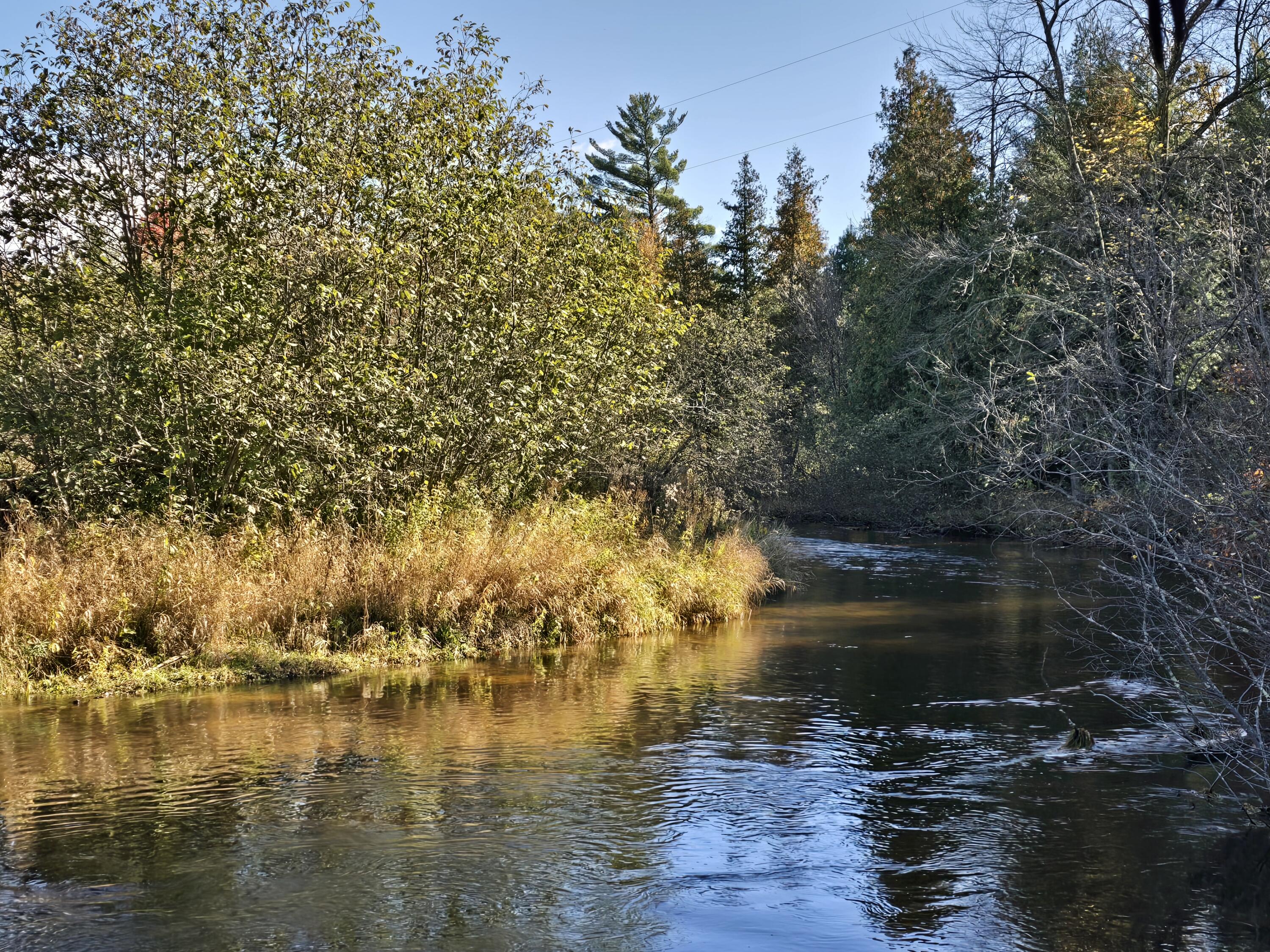 10652 North River Road, Unit D Irons, MI 49644 - Photo 6 of 31 20251025_122029
