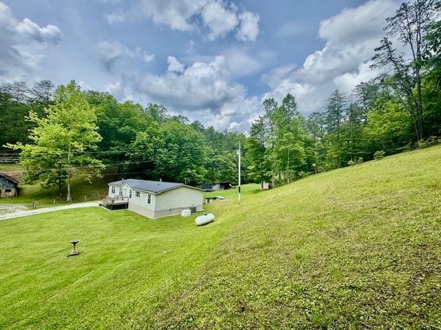 281 Craig Branch Road Olive Hill, KY 41164 - Photo 25 of 27
