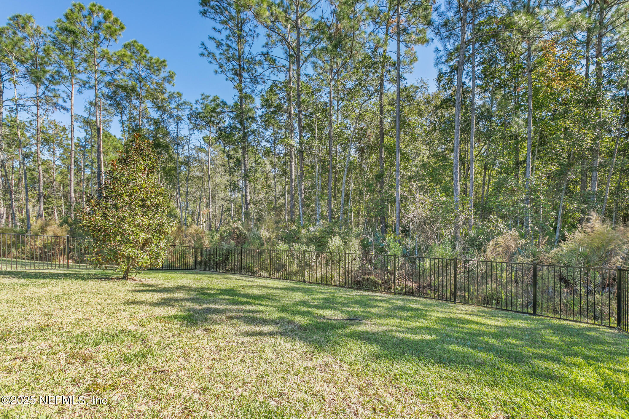 52 Falcon Ridge Road St. Augustine, FL 32084 - Photo 30 of 36 a view of a field with trees