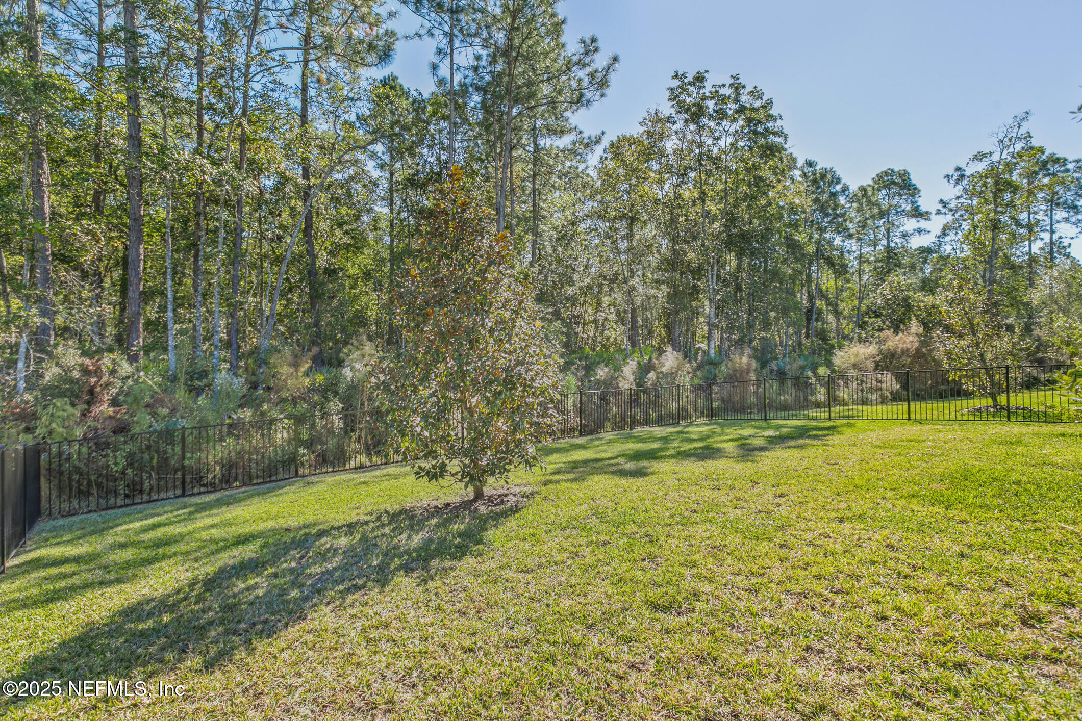 52 Falcon Ridge Road St. Augustine, FL 32084 - Photo 35 of 36 a view of outdoor space
