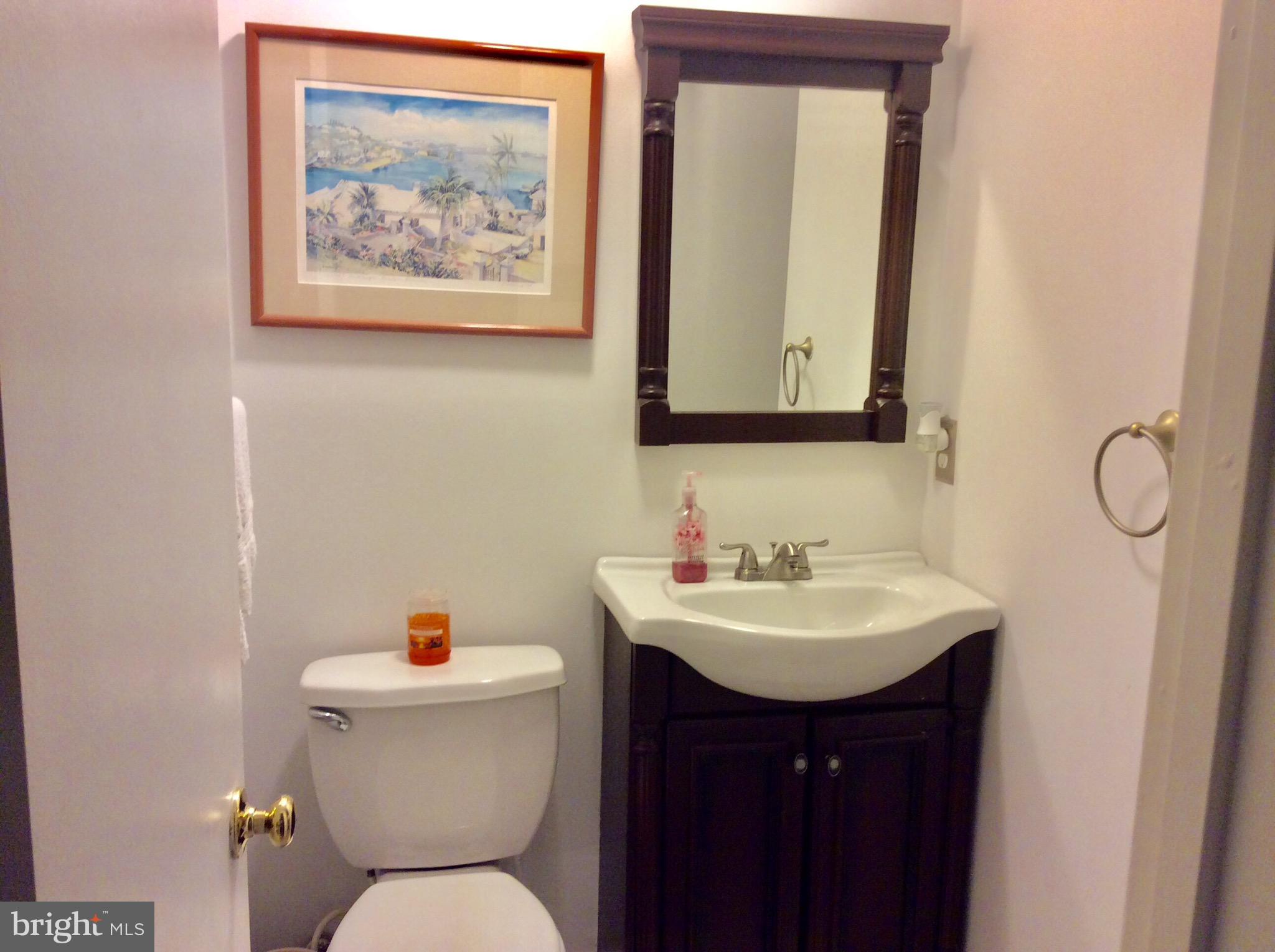 10629 Seneca Spring Way Gaithersburg, MD 20886 - Photo 12 of 27 Main level full bath