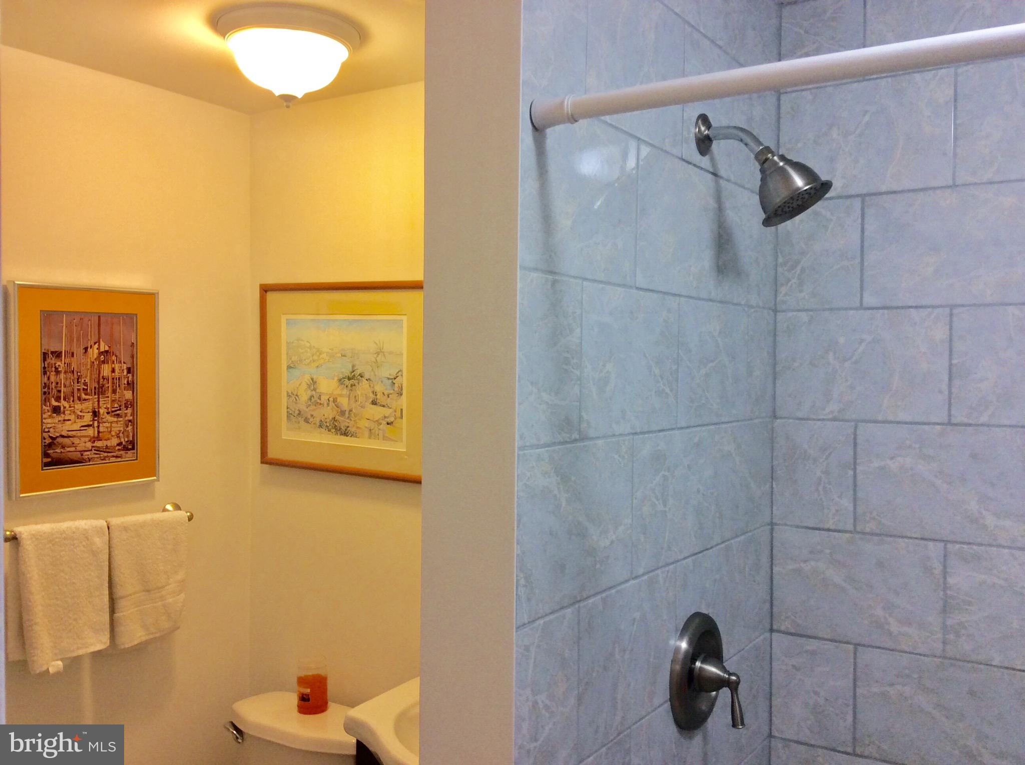 10629 Seneca Spring Way Gaithersburg, MD 20886 - Photo 14 of 27 Main level full bath