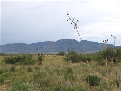 0 West Treasure Road West Pearce, AZ 85625 - Photo 1 of 3