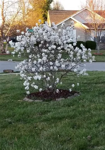 $330,000 | 5194 Depaul Drive, Fairview Heights, IL 62208