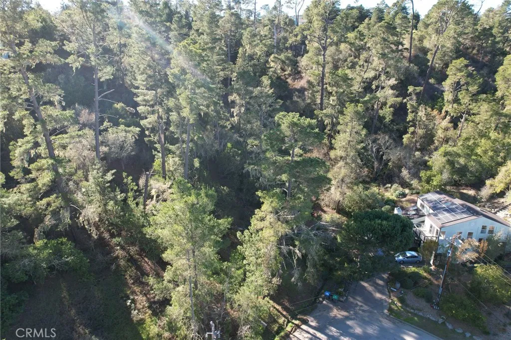 0 Gleason Street Cambria, CA 93428 - Photo 3 of 6 a view of a forest