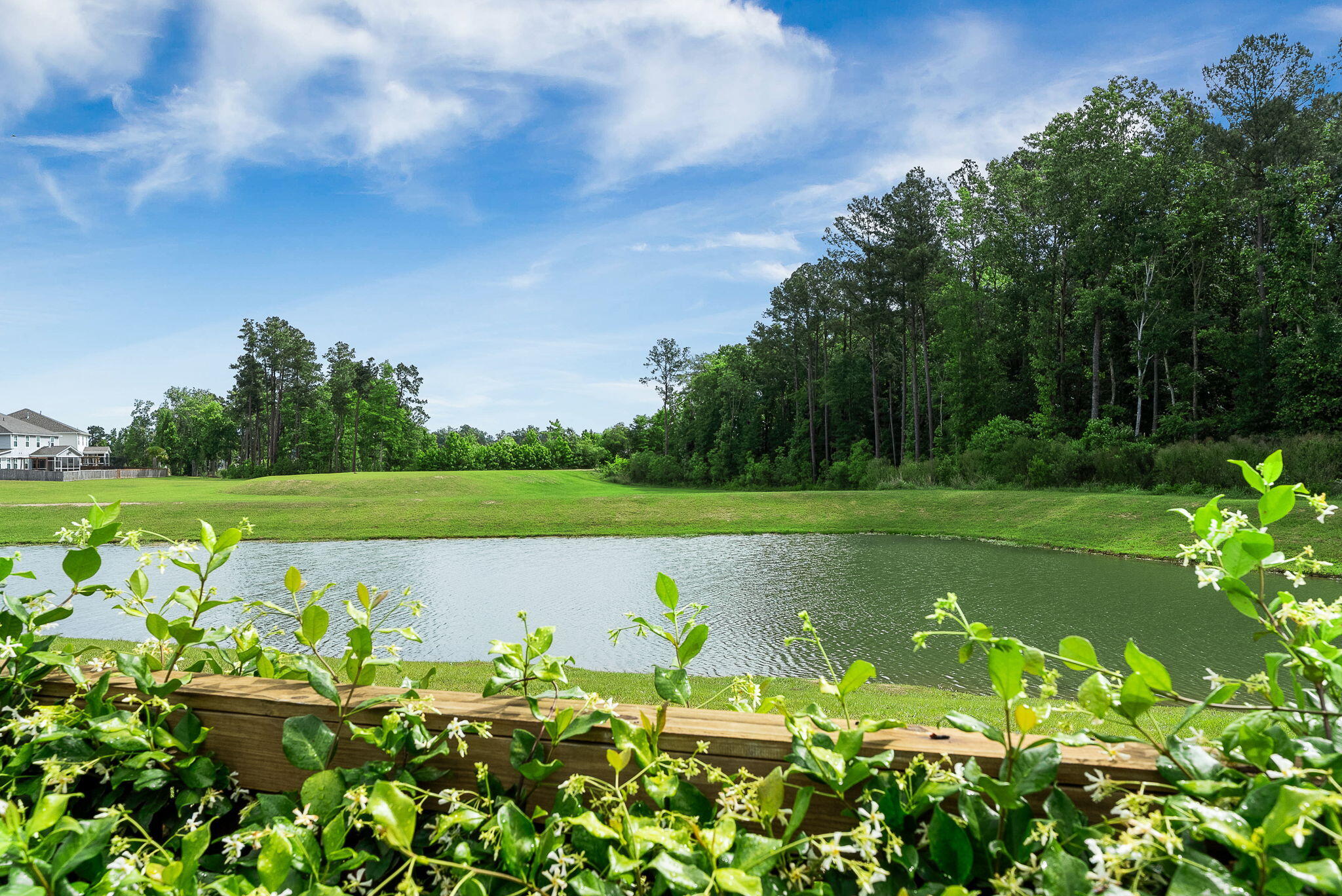 674 Black Pine Road Moncks Corner, SC 29461 - Photo 7 of 66 Gallery Image 7
