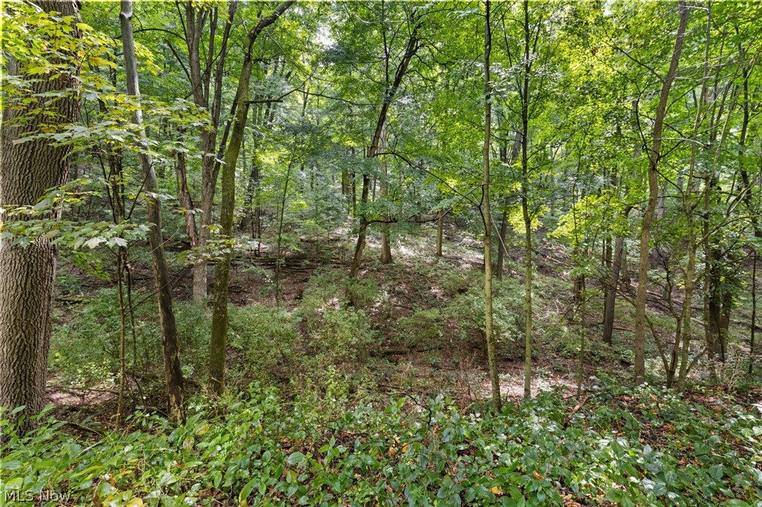 105 Mill Road Bellville, OH 44813 - Photo 3 of 50 Gallery Image 3