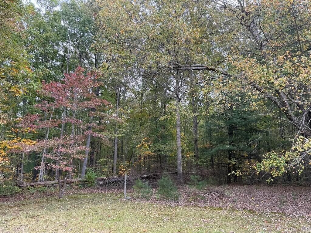 531 Mary Cromwell Road Jamestown, TN 38556 - Photo 8 of 28 Gallery Image 8