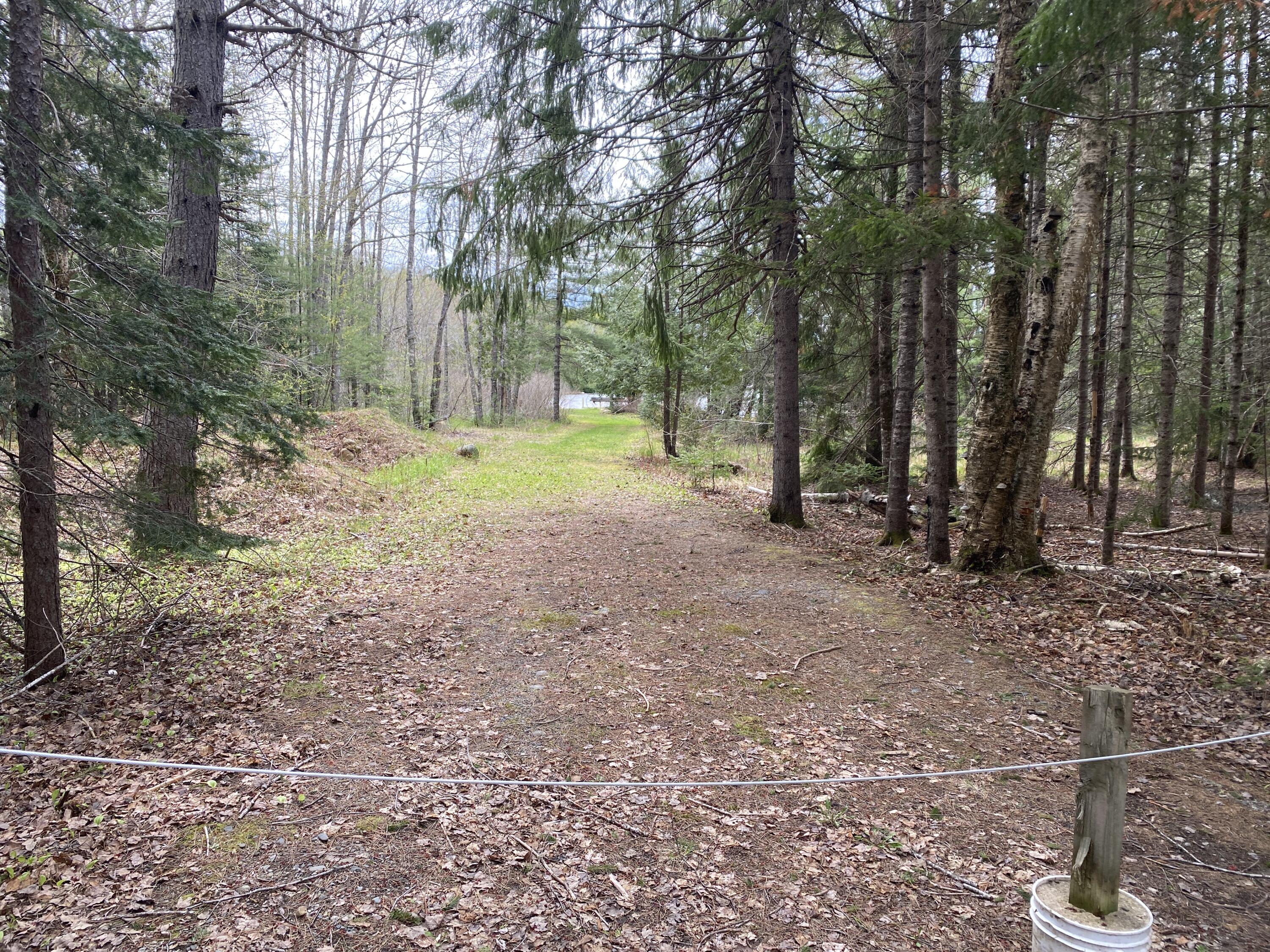 Tbd Depot Road Lakeville, ME 04487 - Photo 25 of 56