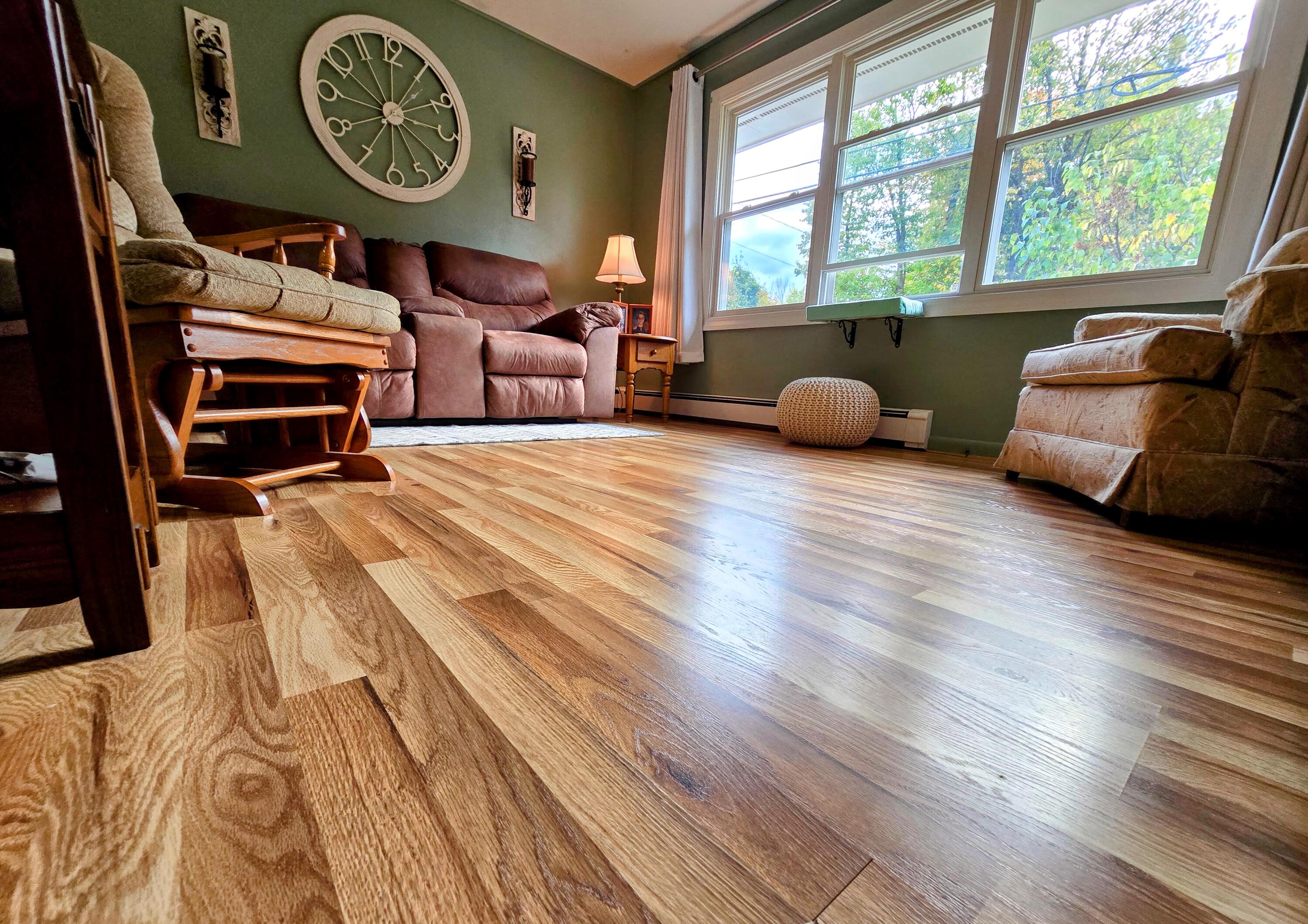 23 Belleview Drive Jay, ME 04239 - Photo 46 of 90 20241009_150222-EDIT