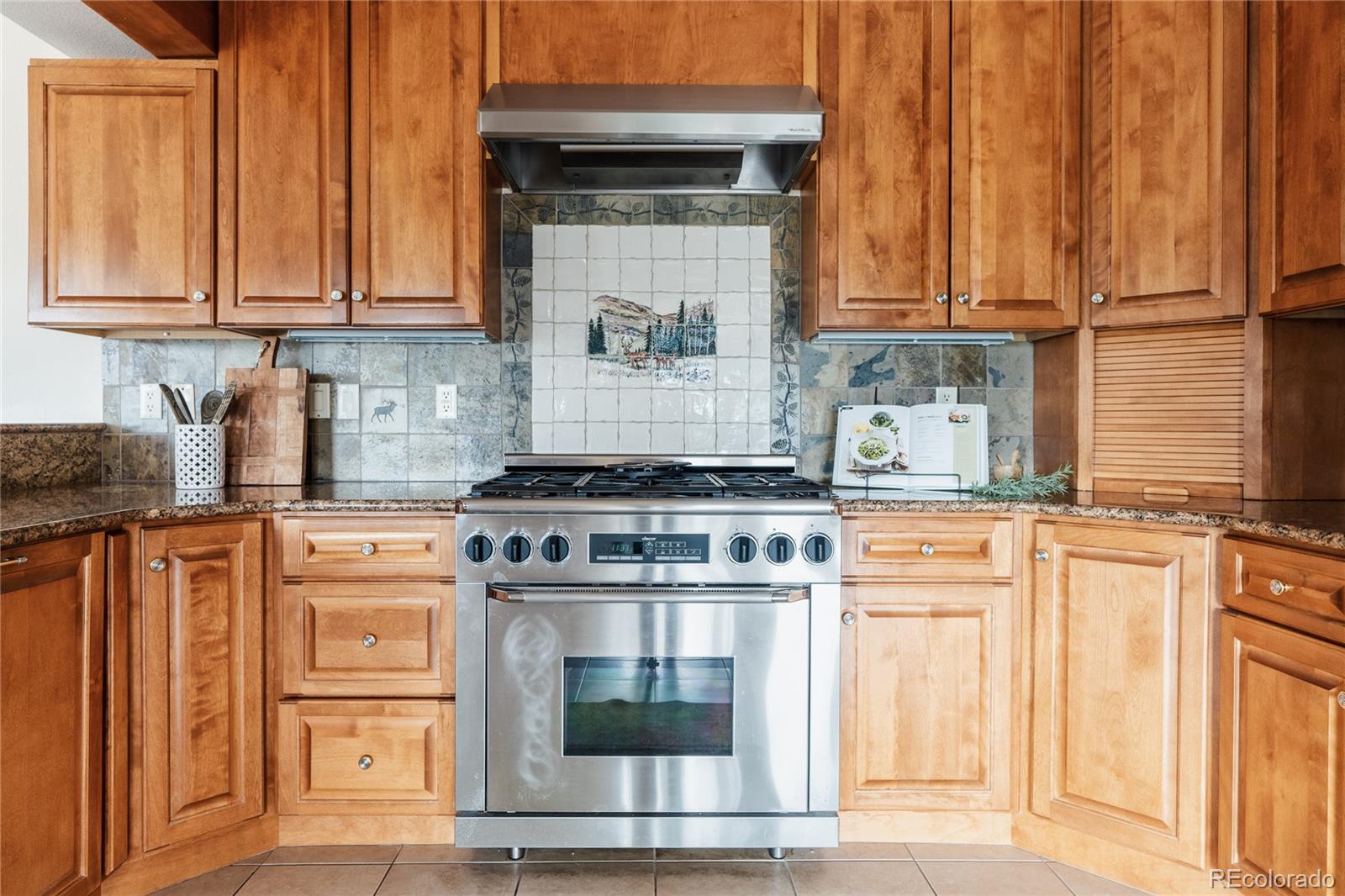 34187 Cactus Drive Evergreen, CO 80439 - Photo 17 of 39 a kitchen with stainless steel appliances granite countertop a stove and white cabinets