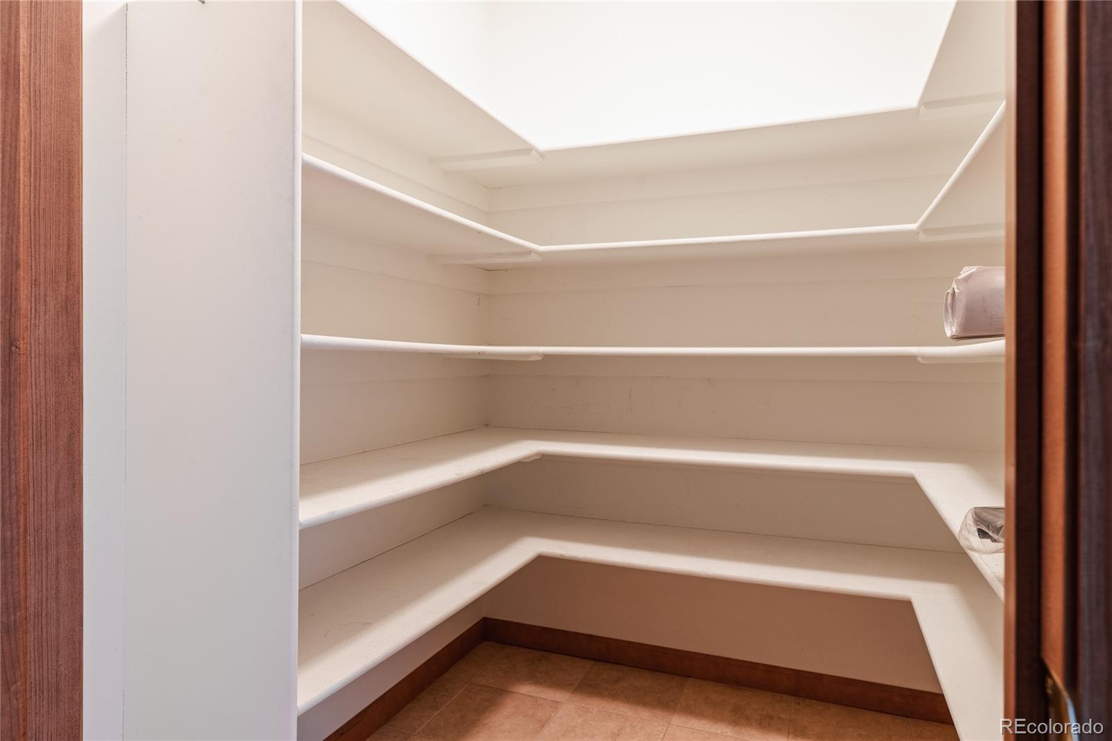 34187 Cactus Drive Evergreen, CO 80439 - Photo 20 of 39 a view of walk in closet with empty racks