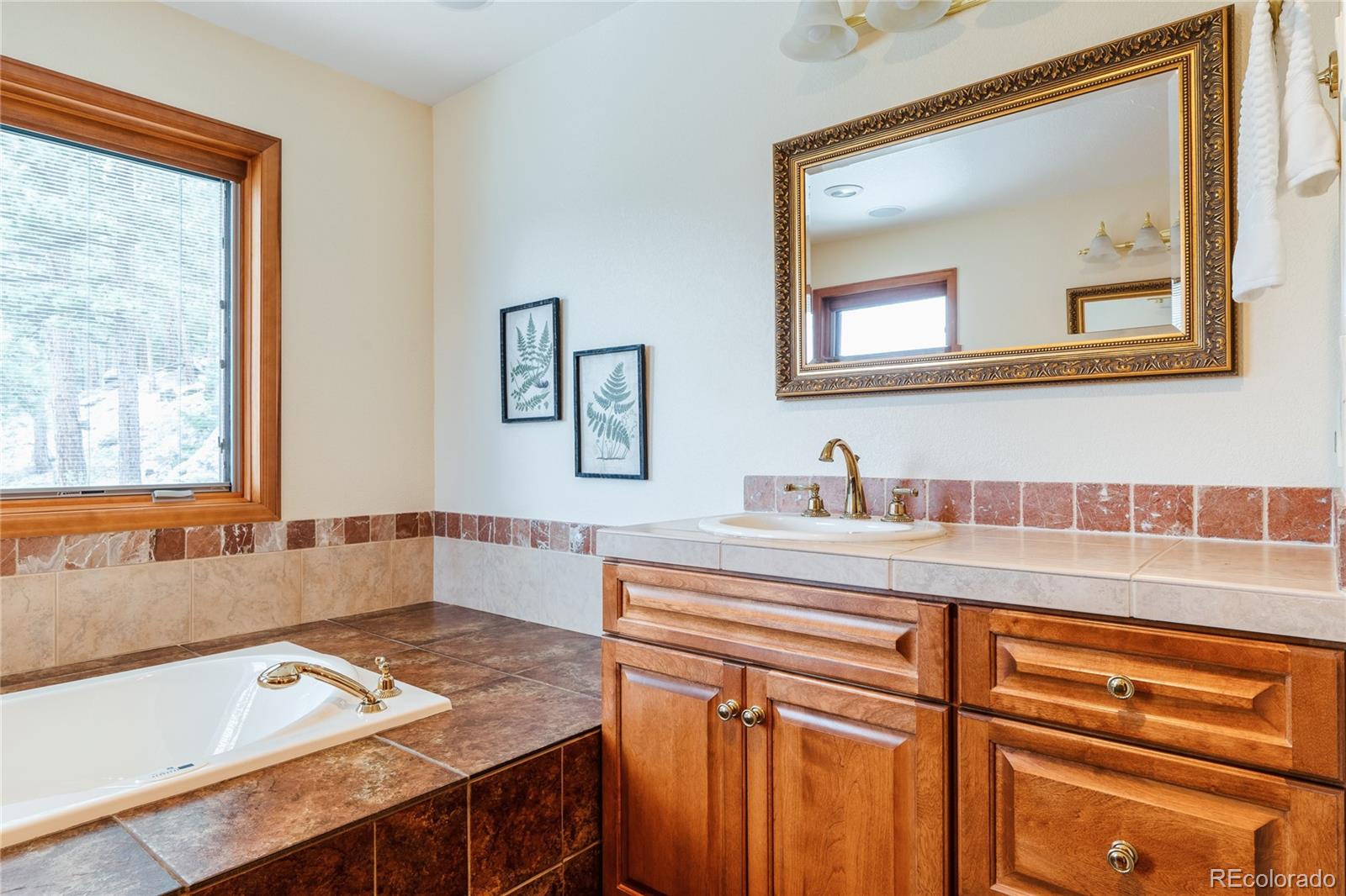 34187 Cactus Drive Evergreen, CO 80439 - Photo 31 of 39 a bathroom with a sink mirror and a bathtub